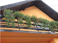 f9d9d7f0-Picture 011.jpg